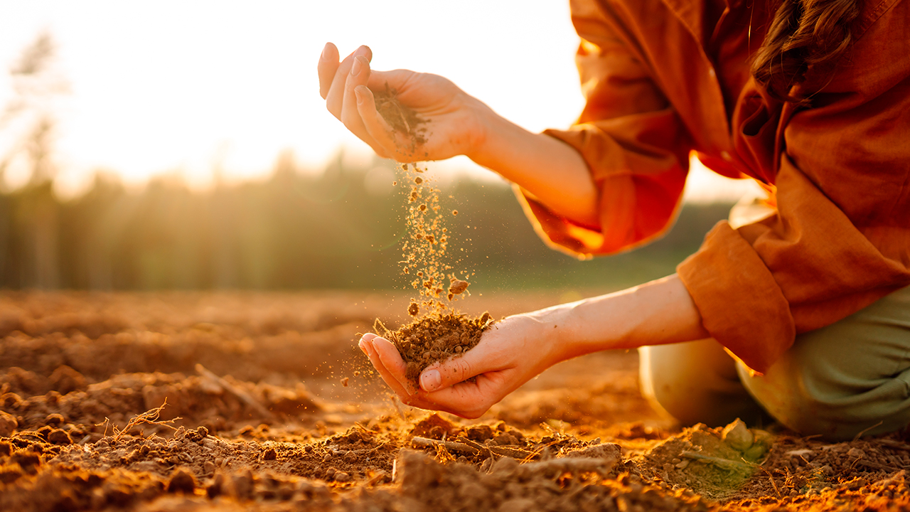 A base essencial para a agricultura e a pecuária