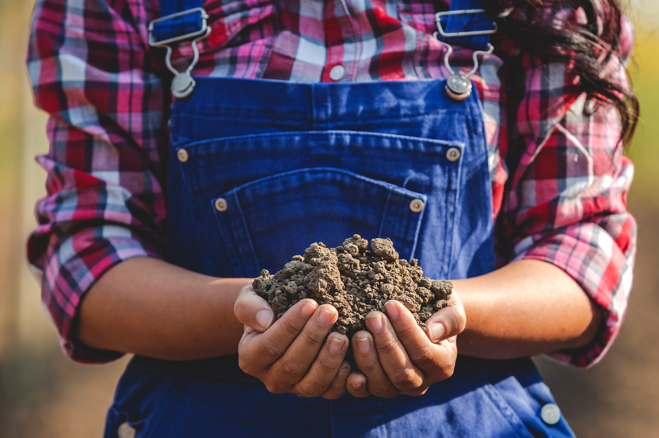 Análises agropecuárias: O que você sempre quis saber