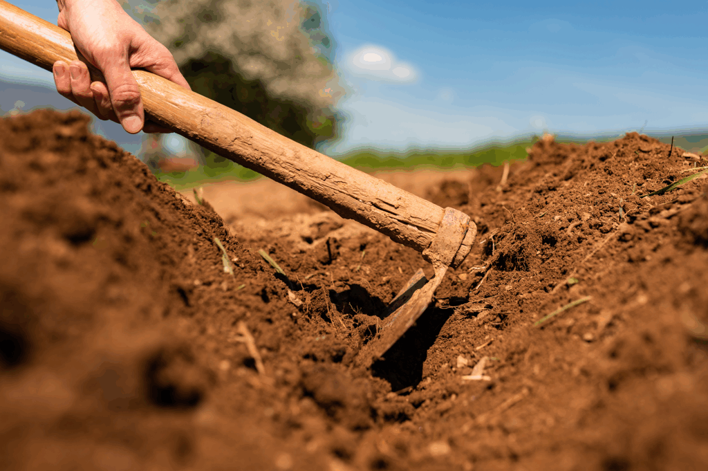Como fazer a coleta de solo do jeito certo