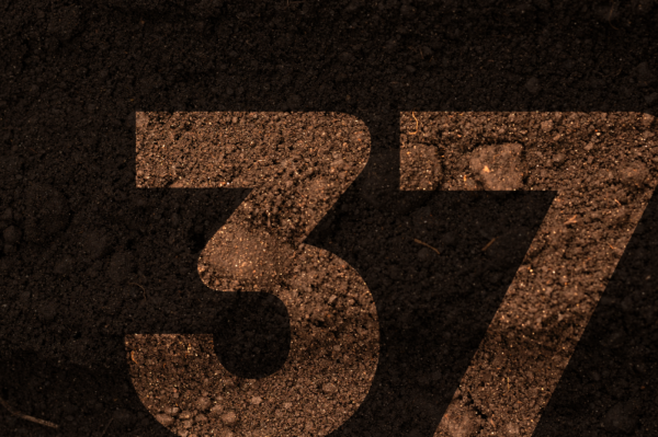 Solocria: Há 37 anos transformando ciência em resultado no campo