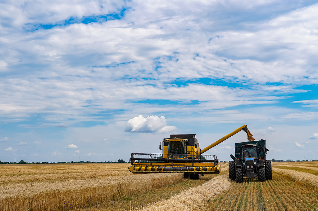 Do solo ácido ao recorde de grãos: Como a ciência revolucionou o Cerrado