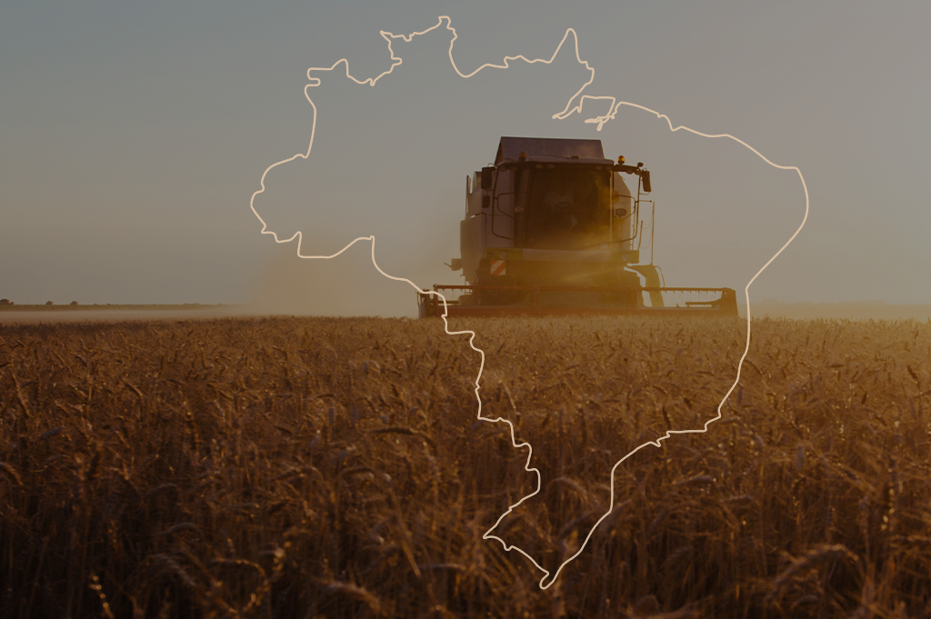 A potência que brota da terra