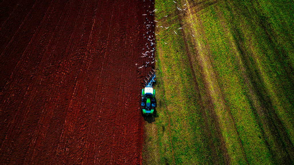 Um ano para consolidar conquistas e avançar ainda mais