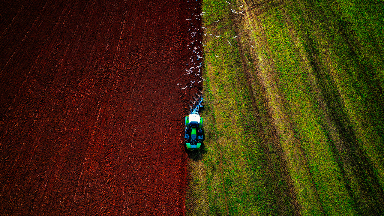 Um ano para consolidar conquistas e avançar ainda mais