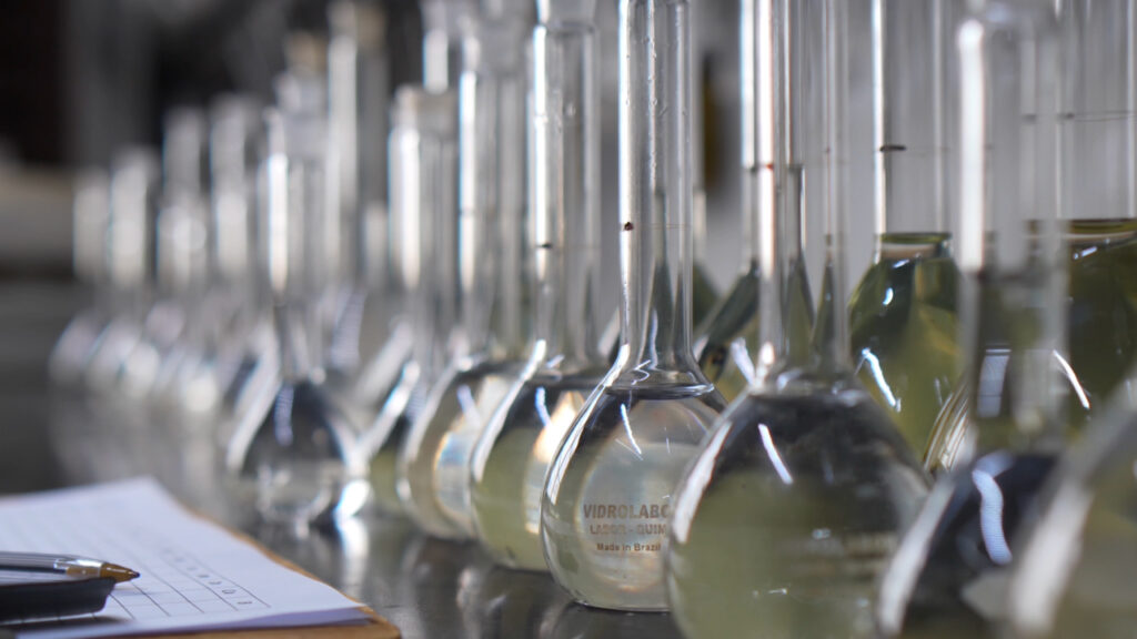 Qualidade, aprendizados e inovação: Os pilares da Solocria em 2025