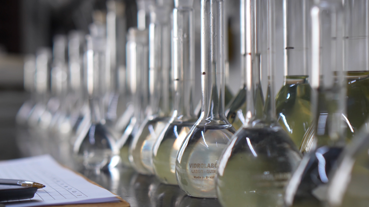 Qualidade, aprendizados e inovação: Os pilares da Solocria em 2025