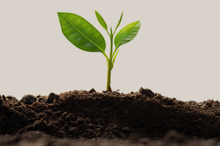 O calendário de safras começa no diagnóstico: descubra por que o solo dita o ritmo da rentabilidade