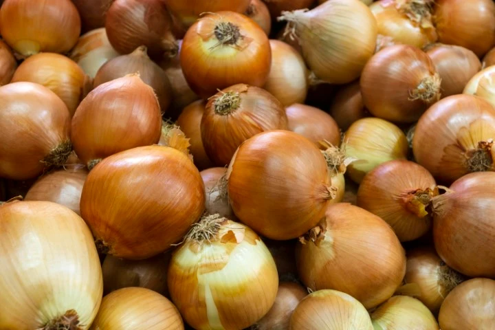 Cebola