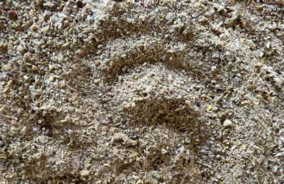 Sal proteinado (sal mineral + bromatológica)