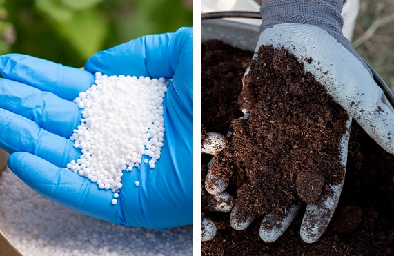 Fertilizantes Minerais/Orgânicos/Organominerais