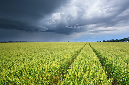 Preparo do solo em extremos climáticos: como proteger a lavoura contra os efeitos do El Niño